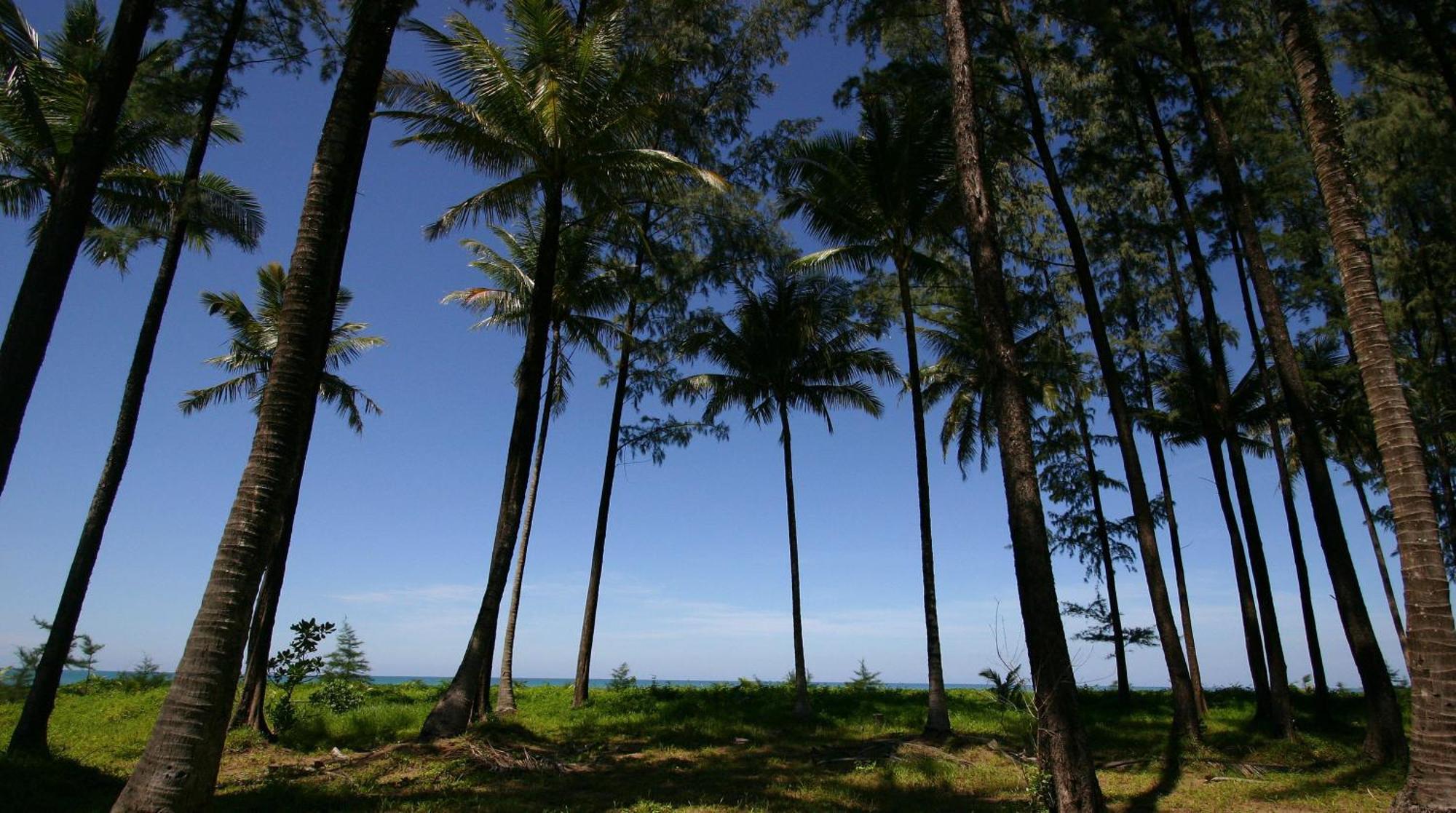 Khaolak Blue Lagoon Resort - Sha Extra Plus Khaulak Kültér fotó